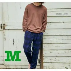 新品　FRUIT OF THE LOOM ロングTシャツ　　ブラウン　M