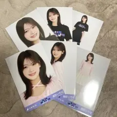 Item thumbnail for item b5d3834c-f3c5-41b1-9cf1-637a1db1f34d