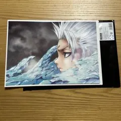 BLEACH bleach 日番谷冬獅郎 ポスター タペストリー セット BLEACH bleach 日番谷冬獅郎 ポスター タペストリー セット 日番