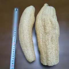 Item thumbnail for item 898aa003-5eae-4680-a285-35651470f560