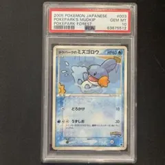 2026年最新】ミズゴロウ psa10の人気アイテム - メルカリ