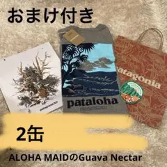 ハワイ限定 パタゴニア パタロハ Tシャツ 50周年カタログ 非売品ステッカー他