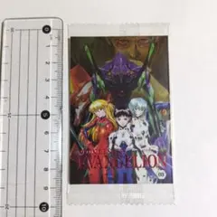 エヴァンゲリオン 限定 ウエハースカード シンジ レイ アスカ 11
