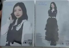 Item thumbnail for item fa540eeb-b2d9-4ee0-a065-72c6df78e404