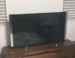 2026年最新】th-60dx850の人気アイテム - メルカリ