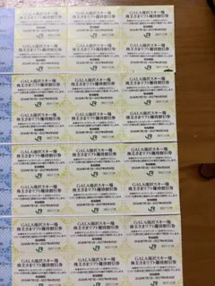 ガーラ湯沢スキー場 リフト優待割引券24枚のサムネイル