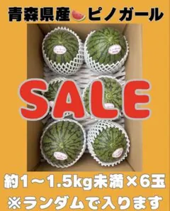 産地直送！訳あり小玉スイカピノ・ガール5玉入！甘くて美味しい箱込9.5