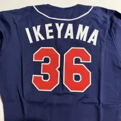 ヤクルトスワローズ ビジター用 メッシュサイズXO 未使用 36 池山選手のサムネイル