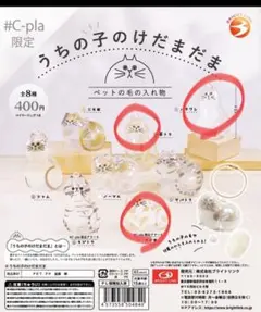 うちの子のけだまだま　ハチワレ　茶トラ　サビ猫