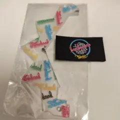 Item thumbnail for item 9a73bcd1-aedb-4d9a-955c-0f8de015a033