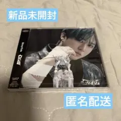 straykids GIANT スンミン FC盤 未開封 - メルカリ
