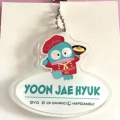 TREASURE はぴだんぶい カフェ ジェヒョク ハンギョドン アクキー