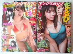 ヤングマガジン ミスマガジン2002 若槻千夏 中川翔子 安田美沙子 和希