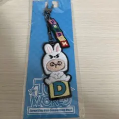 【新品未開封】Stray Kids スキズ 刺繍キーホルダー リービットパピーム