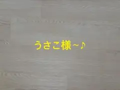うさこ様〜♪