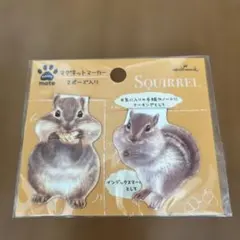 Hallmark マグネットマーカー SQUIRREL 2ポーズ入り