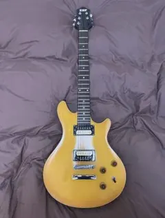 ESP Potbelly エレキギター　カスタム　注文時48万　ケース付　国産 2026年最新】esp potbellyの人気アイテム - メルカリ
