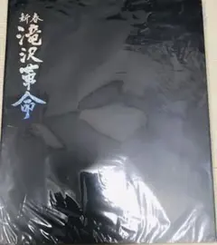 新春滝沢革命 パンフレット