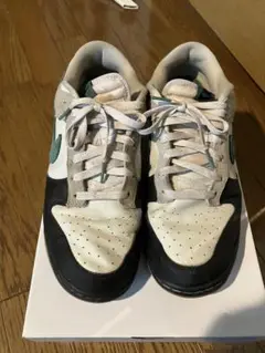 ナイキ　ダンクロー　DUNK LOW NIKE スニーカー　29cm