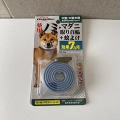 Item thumbnail for item df0643ac-4c4a-4b3c-b952-9d78225936f2