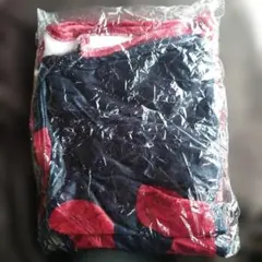 Item thumbnail for item ec6b02b1-b82e-49dc-8204-d70442e3c4aa