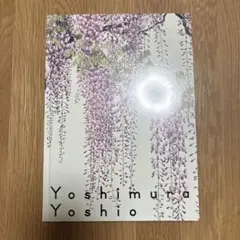 吉村芳生 超絶技巧を超えて アート作品集
