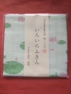 Item thumbnail for item 0c93a9a1-ed4f-448c-be91-b9effffe9f2e