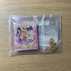 アイカツ ミニチュアバインダー