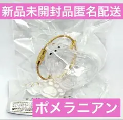 うちの子のけだまだま　犬　ポメラニアン