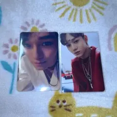 2025年最新】EXO チェン トレカの人気アイテム - メルカリ