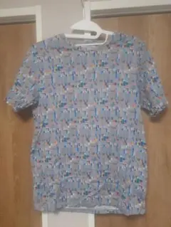 Item thumbnail for item fd44abd9-b7dc-4ea3-972e-d358b315b18d