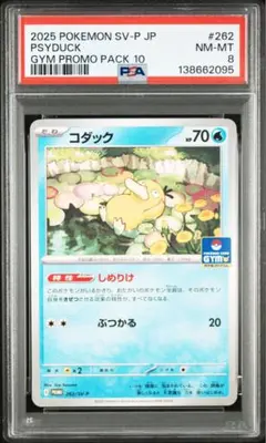 【PSA8】コダック　ジムプロモ　しめりけ