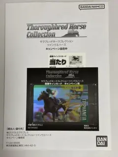 2025年最新】サラブレッドホースコレクション 当たり券の人気アイテム