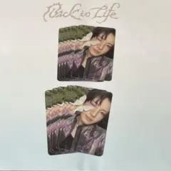 【YUMA】 &TEAM 'Back to Life' トレカ