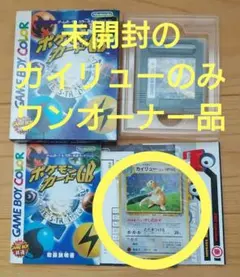 2026年最新】いやしのかぜ カイリューの人気アイテム - メルカリ