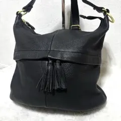 【希少】イアパピヨネ　2way リュック　タッセル　オールレザー