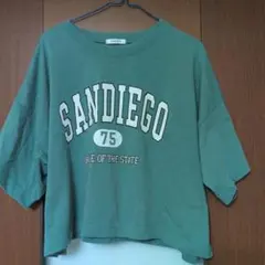 INGNI カレッジロゴ 半袖Tシャツ