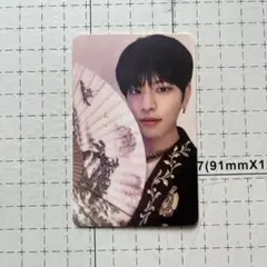 スキズ SKZ IN生 subk スンミン トレカ