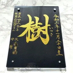 Item thumbnail for item 01459890-c46e-4cf5-bf29-b7db8038ea61