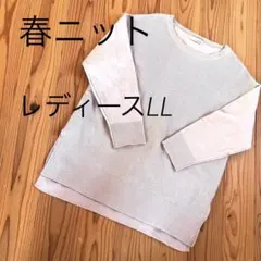 春ニット　レディースLL 大きいサイズ
