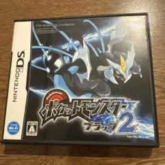 Nintendo DS ポケットモンスター ブラック2