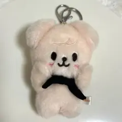 StrayKids SKZOOバンザイ マグネットキーリング 10cm パピーム straykids スキズ マグネットキーリング バンザイぬい パピーム - メルカリ