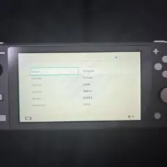 Nintendo Switch Lite　グレー 本体