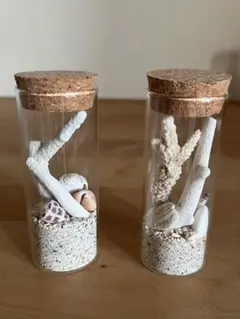 貝殻　1 コルク瓶入り　砂浜の砂　貝殻　珊瑚　2本セット