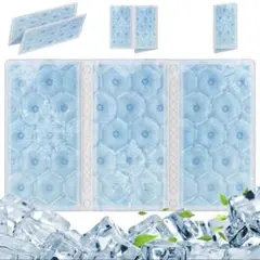 わんわん様専用