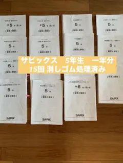 サピックス SAPIX 6年テスト 1年分17回 - メルカリ