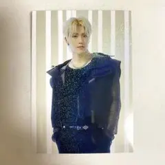 SEVENTEEN FOLLOW JAPAN ディノ トレカ
