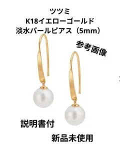 2026年最新】JEWELRY TSUTSUMI ピアス 形：フック・チェーン