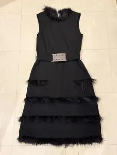 PAOLA FRANI パオラフラーニ フェザーワンピース
