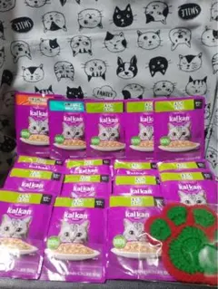 Item thumbnail for item 99f4345b-5081-44e9-8cb2-844a38c39cf7